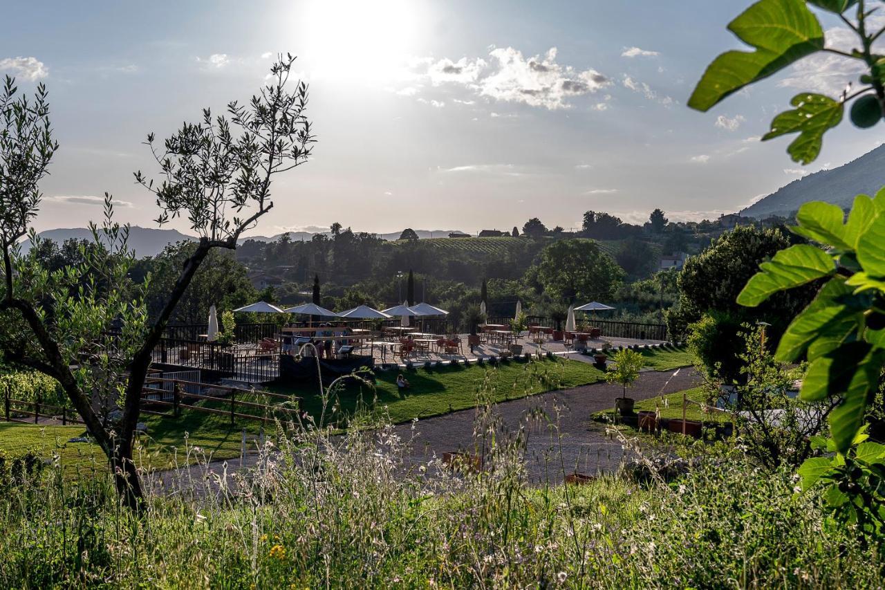 Al Piglio Maison De Charme Wine & Wellness Resort エクステリア 写真